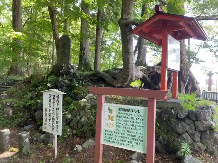 富士山東口本宮 冨士浅間神社のその他建物