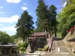 清水寺の景色