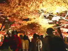 禅林寺（永観堂）(京都府)