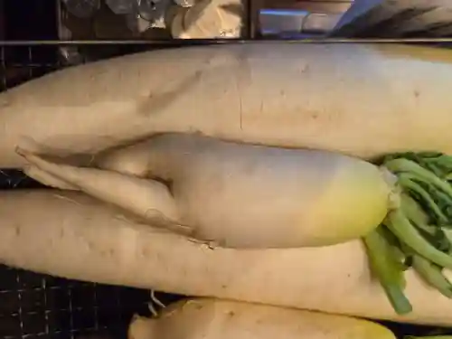 見沼大師　感応院(埼玉県)