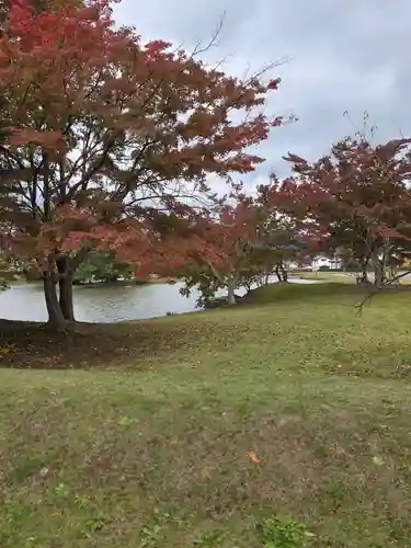 毛越寺の御朱印