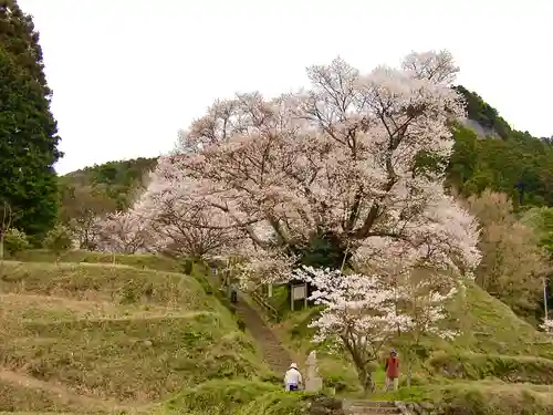 仏隆寺(奈良県)
