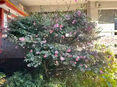 大森神社(東京都)