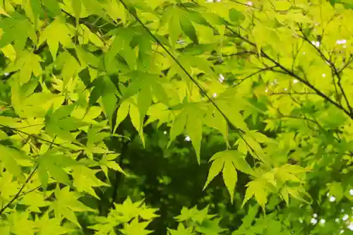 鍬山神社(京都府)