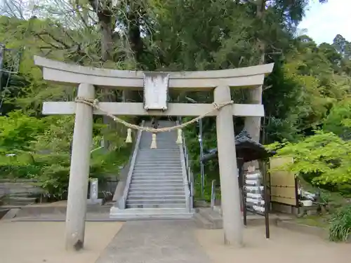 田間神社の鳥居