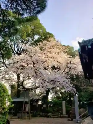 龍光寺(東京都)