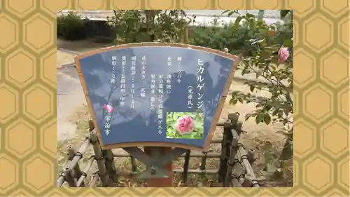 宇治神社(京都府)