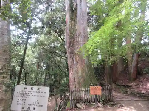 圓教寺(兵庫県)