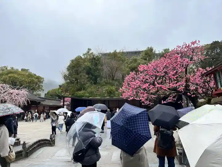 太宰府天満宮の本殿・本堂