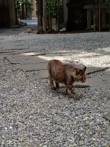 小野照崎神社の動物