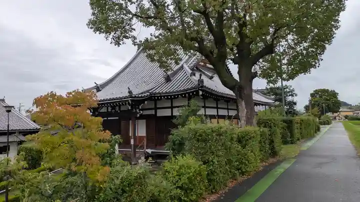 大龍寺(京都府)