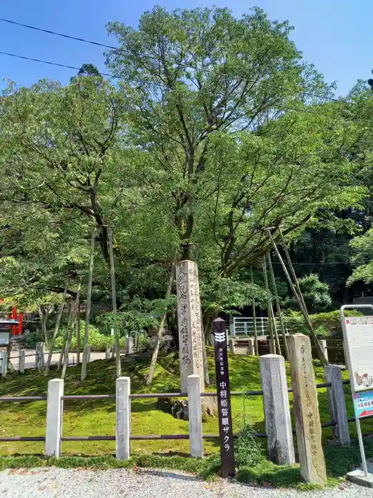 願成寺のその他建物