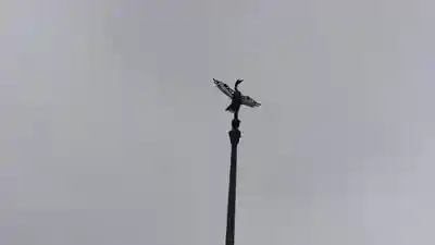 大雲院のその他建物