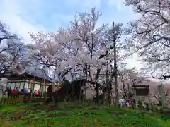 実相寺の自然