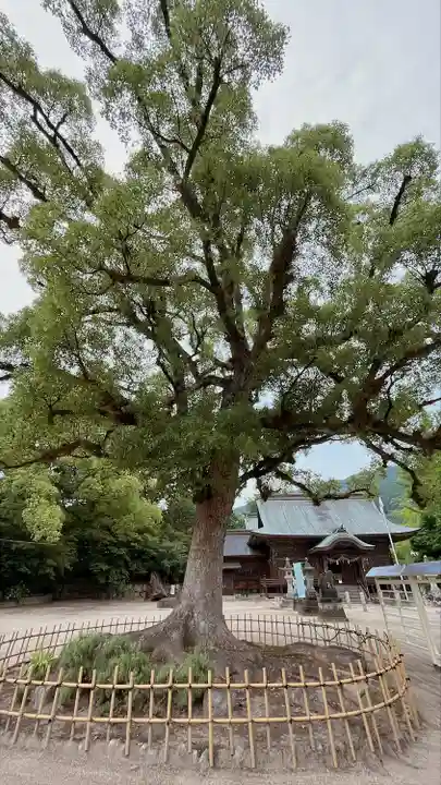 與止日女神社(佐賀県)