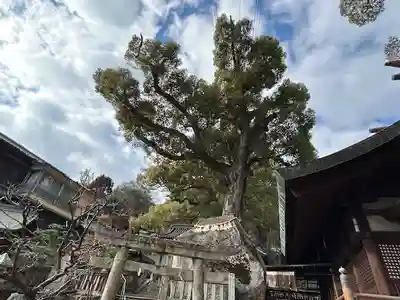 艮神社(広島県)
