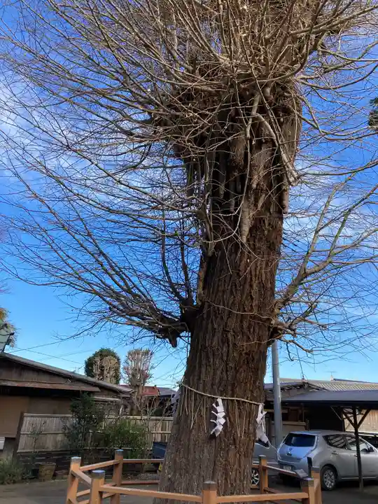 延寿寺(神奈川県)