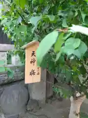 小野照崎神社(東京都)