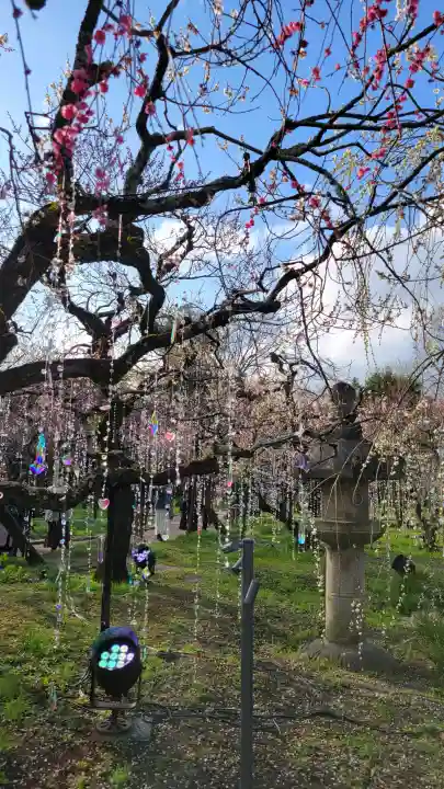 北野天満宮の{uncategorized: "未分類", other: "その他", undefined: "問題あり", building: "その他建物", grave: "お墓", sacred_gate: "鳥居", guardian: "狛犬", statue: "像", buddha: "仏像", history: "歴史", nature: "自然", garden: "庭園", animal: "動物", pagoda: "塔", temizu: "手水舎", mountain_gate: "山門・神門", sanctuary: "本殿・本堂", subordinate: "末社・摂社", art: "芸術", scenery: "景色", jizo: "地蔵", ema: "絵馬", goshuin: "御朱印", omikuji: "おみくじ", items: "授与品その他", amulet: "お守り", goshuincho: "御朱印帳", eats: "食事", festival: "お祭り", votive_dance: "神楽", shichigosan: "七五三参", wedding: "結婚式", experience: "体験その他", initially: "初詣", around: "周辺", anti_infection: "感染症対策"}