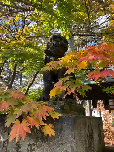 岩見澤神社の狛犬