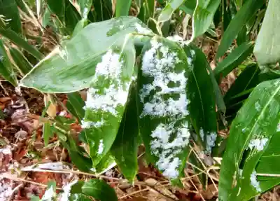 幾春別神社(北海道)