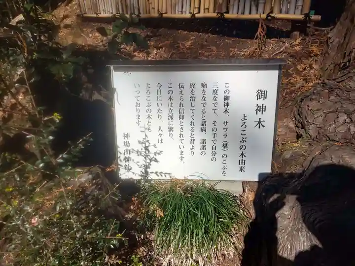 神場山神社(静岡県)