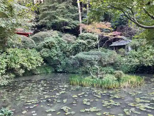 岩船寺(京都府)