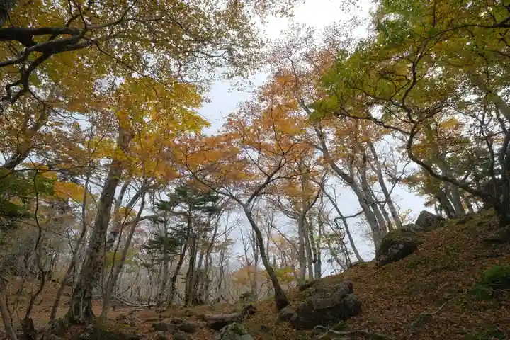 弥山神社(天河大辨財天社奥宮)の自然