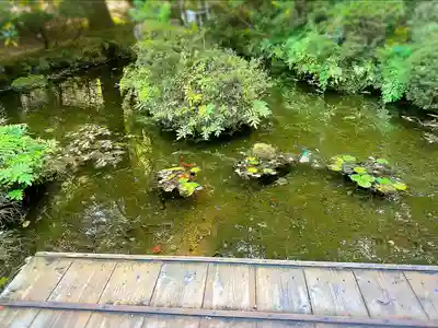 青麻神社(宮城県)