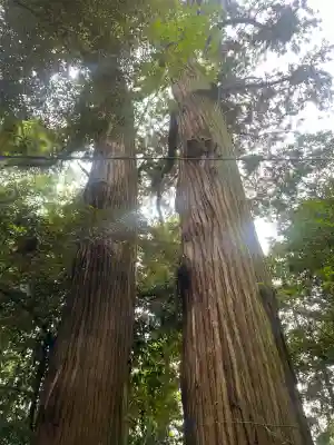 日吉神社(千葉県)