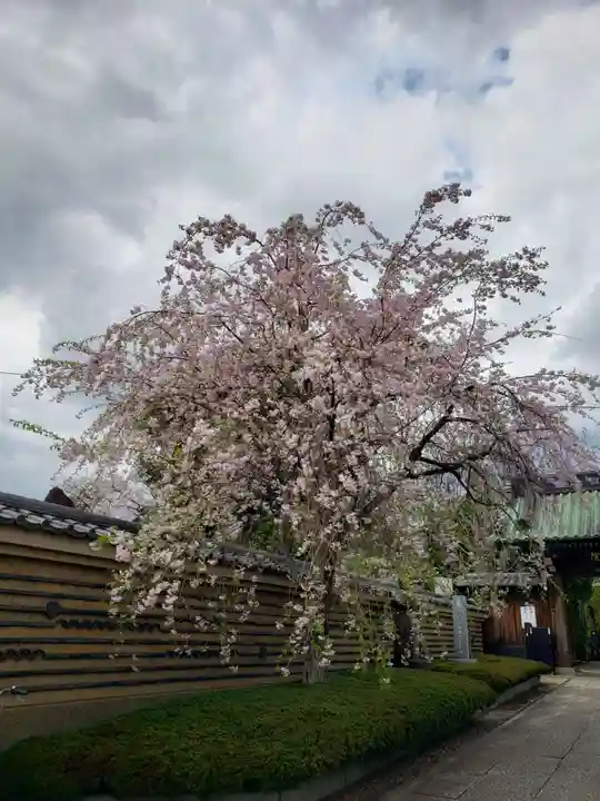 福蔵院(東京都)