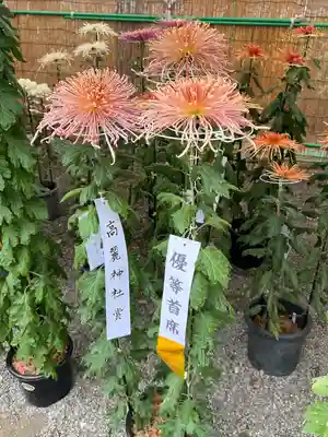 高麗神社(埼玉県)