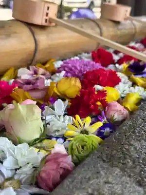 群馬県護国神社(群馬県)