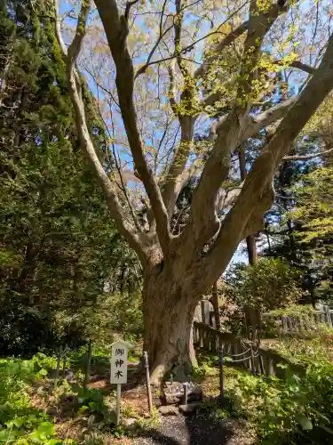 函館八幡宮の{uncategorized: "未分類", other: "その他", undefined: "問題あり", building: "その他建物", grave: "お墓", sacred_gate: "鳥居", guardian: "狛犬", statue: "像", buddha: "仏像", history: "歴史", nature: "自然", garden: "庭園", animal: "動物", pagoda: "塔", temizu: "手水舎", mountain_gate: "山門・神門", sanctuary: "本殿・本堂", subordinate: "末社・摂社", art: "芸術", scenery: "景色", jizo: "地蔵", ema: "絵馬", goshuin: "御朱印", omikuji: "おみくじ", items: "授与品その他", amulet: "お守り", goshuincho: "御朱印帳", eats: "食事", festival: "お祭り", votive_dance: "神楽", shichigosan: "七五三参", wedding: "結婚式", experience: "体験その他", initially: "初詣", around: "周辺", anti_infection: "感染症対策"}