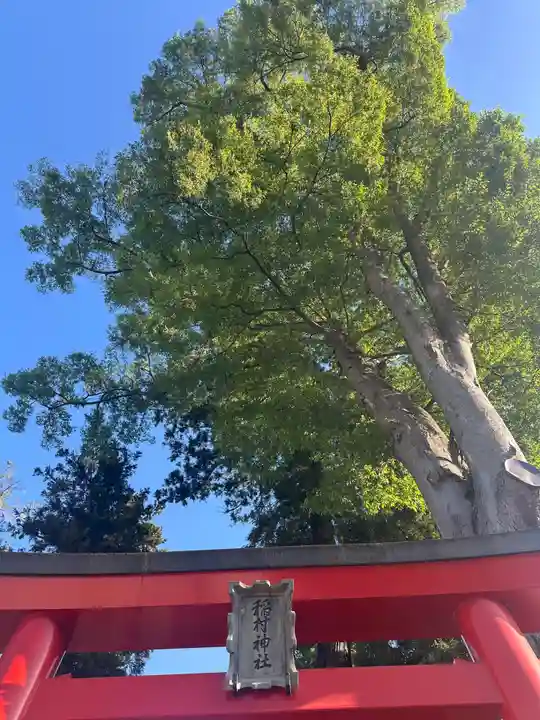 稲村神社(山梨県)