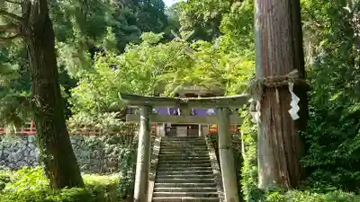 高鴨神社の鳥居