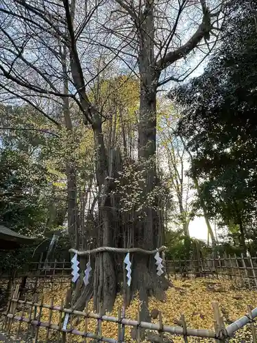 大國魂神社(東京都)