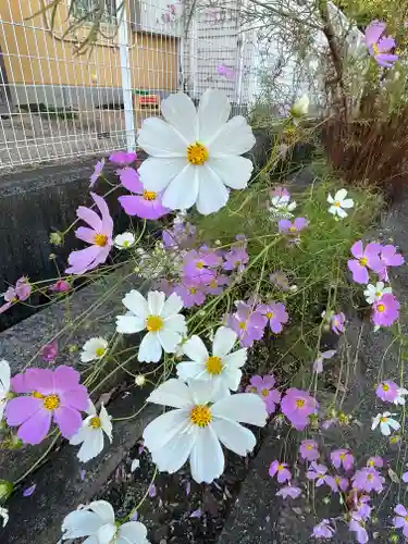 天満神社の自然