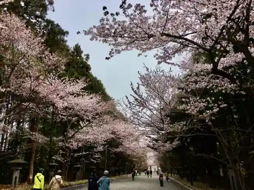 北海道神宮の自然