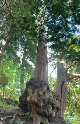 福島大神宮(北海道)