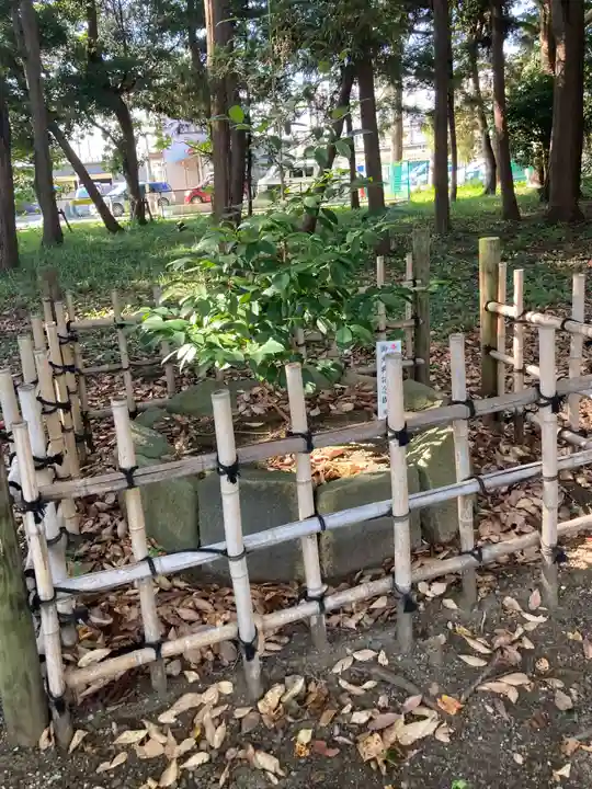 御霊神社(神奈川県)