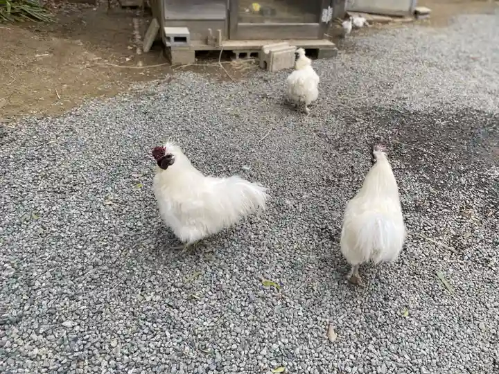 高屋敷稲荷神社(福島県)