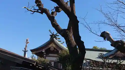 白鬚神社のその他建物