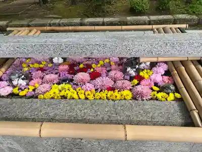 竹駒神社(宮城県)