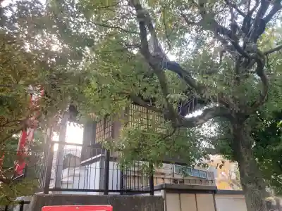 鶴ヶ峰稲荷神社(神奈川県)
