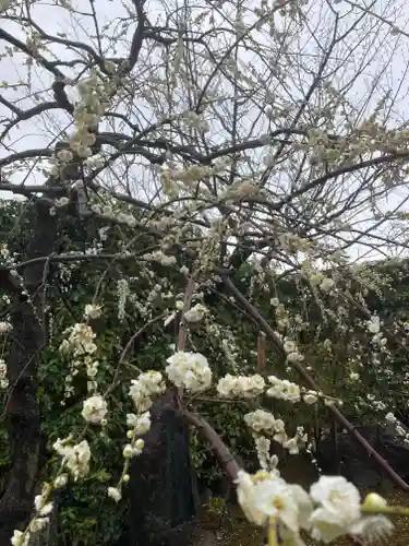 元興寺(奈良県)