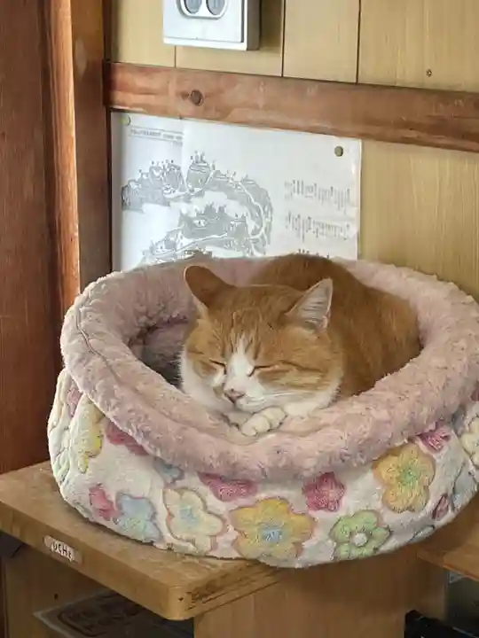 薬師院(岡山県)