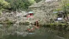 醍醐寺(京都府)