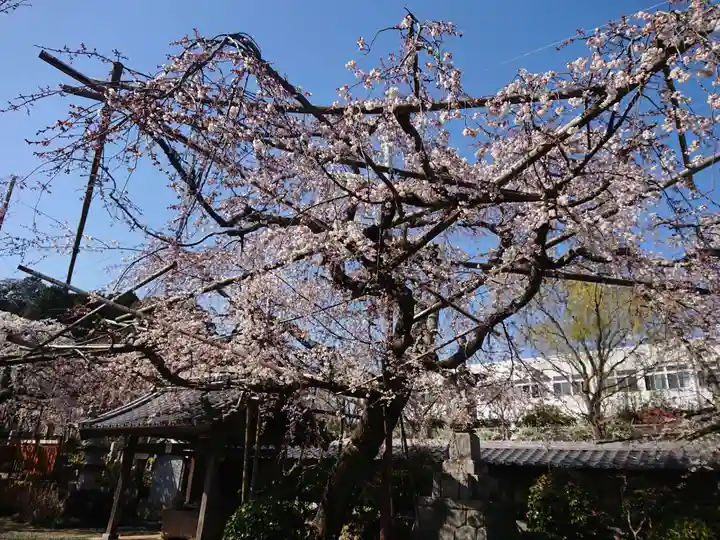 源空院(浅井寺)の自然