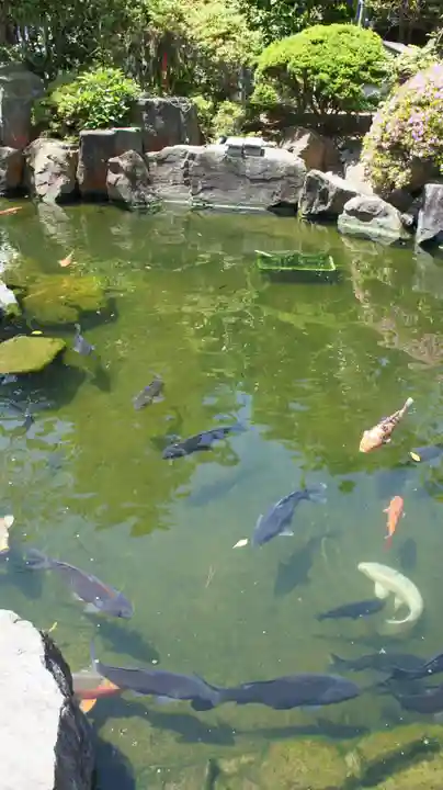 誕生寺(千葉県)